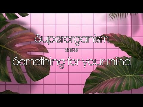 Superorganism-Something for your mind (Lyrics)