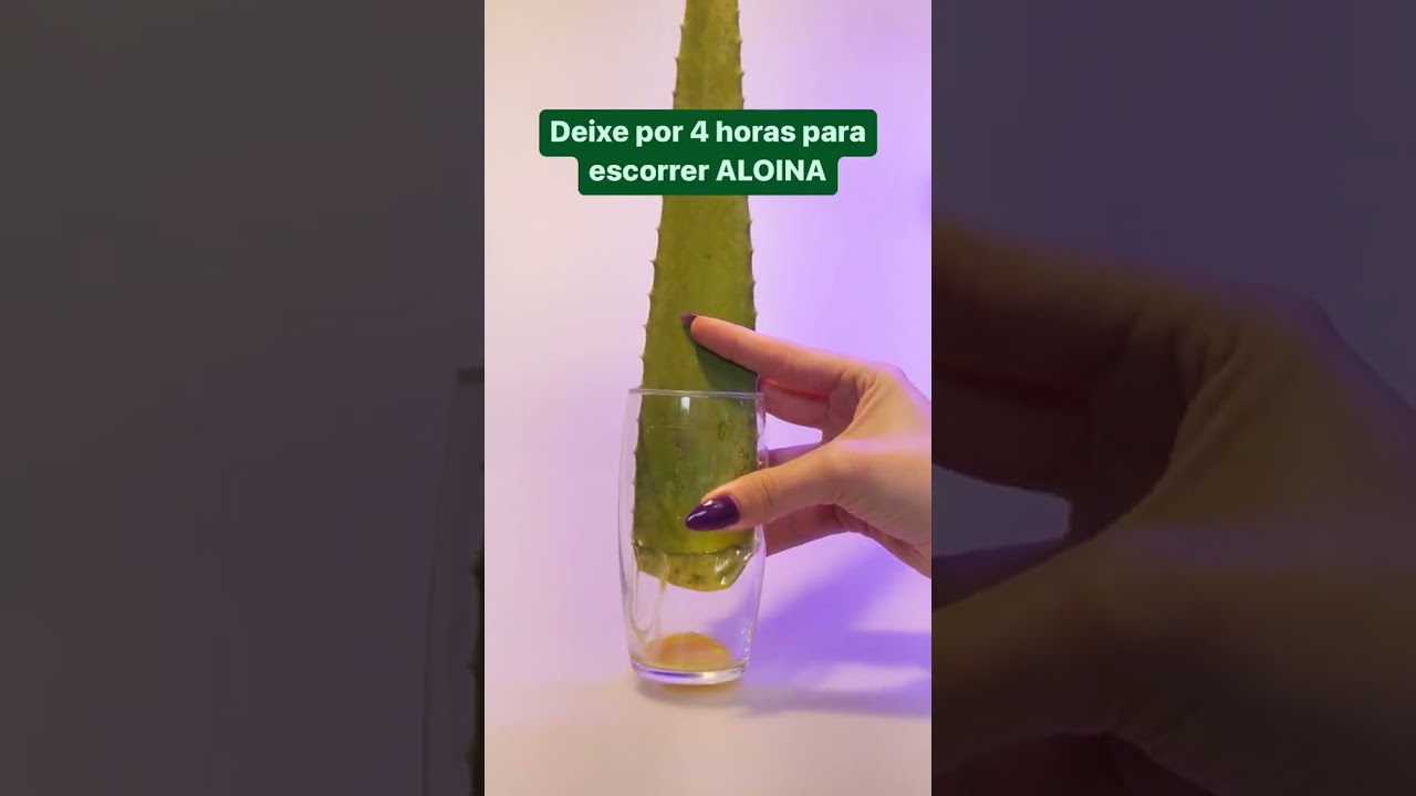 COMO FAZER BABOSA PARA SECAR ESPINHAS, CLAREAR MANCHAS E HIDRATAR