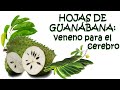 Hojas de guanábana: veneno para el cerebro por Nely Helena Acosta Carrillo