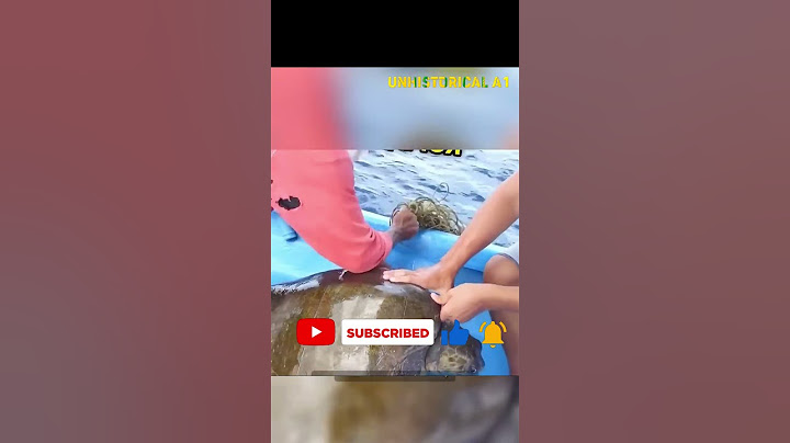 সমুদ্রের মাঝখানে এ ঘটনা না দেখলে বিশ্বাস করা অসম্ভব!🤯😳 #Mayajaal #unknownfacts #shorts  #viralshorts