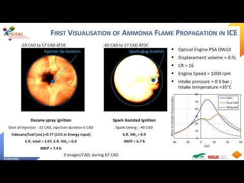 Ammonia Flame in Internal Combustion Engine