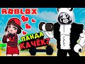 ПАНДА КАЧЁК? Машка Убивашка и Панда в Симуляторе Качка Lifting Simulator Roblox