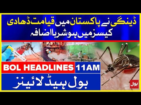 Dengue Virus Updates in Pakistan | BOL News Headlines | 11:00 AM | 20 October 2021