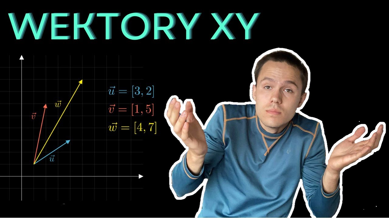 Wszystko co musisz wiedzieć na początek o wektorach