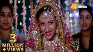 Jinke Aage Ji Jinke Pichhe Ji | salman Khan | Chandni | Sanam Bewafa (1991) | Lata Mangeshkar Songs