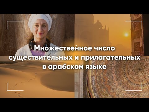 Множественное число существительных и прилагательных