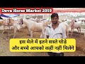 Deva Horse Market 2019-इस मेले में इतने सस्ते घोड़े और बच्चे आपको कहीं नहीं मिलेंगे