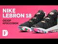 Обзор кроссовок Nike LeBron 18