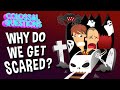Understanding Fear