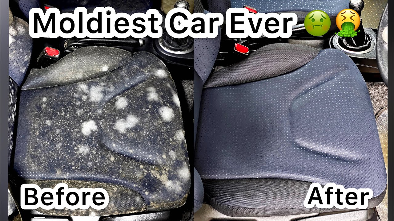 how-to-clean-mould-fungus-from-car-interior-mould-removal-from-car
