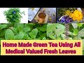 Easy green tea mix using natural fresh herbs in tamil  cheapest natural herbal green tea at home
