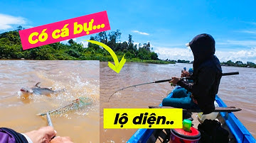 Bến Sông Sạt Lở Bất Ngờ Xuất Hiện Rất Nhiều Cá, Câu Cá Basa Bằng Mồi Gia Truyền.