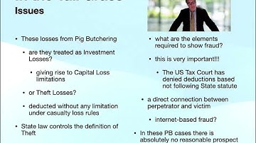 2023 TaxTreatment of Pig Butcherin Theft