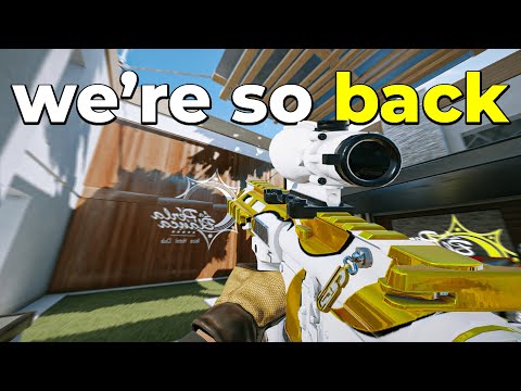 wait siege is actually good again?