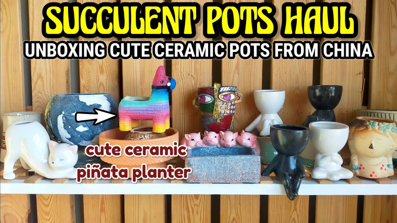 BEAUTIFUL SUCCULENT POTS HAUL || Unboxing Ceramic Pots for our Succulents • Succulents in China Vlog