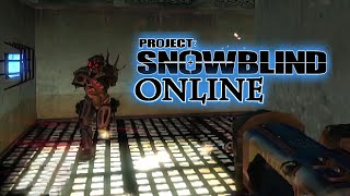 Project Snowblind Online on PS2 March 30th 2024!