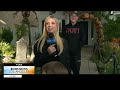 The Studio City neighborhood that goes all out for Halloween | CBS LA
