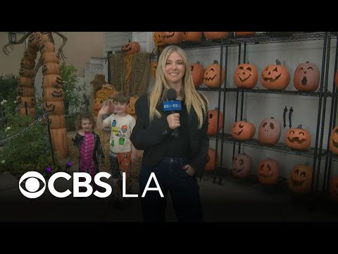 The Studio City neighborhood that goes all out for Halloween | CBS LA