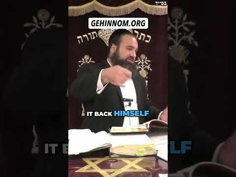 유대인이 테필린을 착용해야 하는 이유