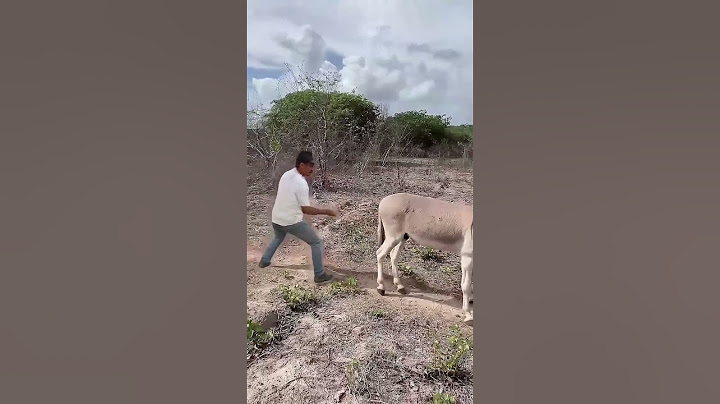 catucando o burro com a vara curta 🤣#tiringa #memesdotiringa #memes2024 #humor