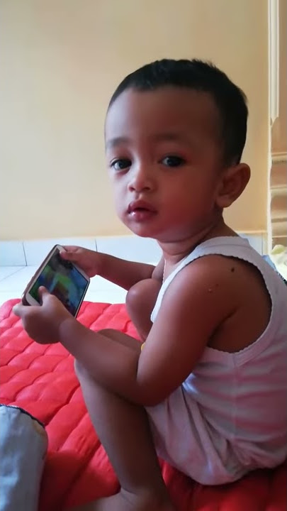 Rebutan handphone
