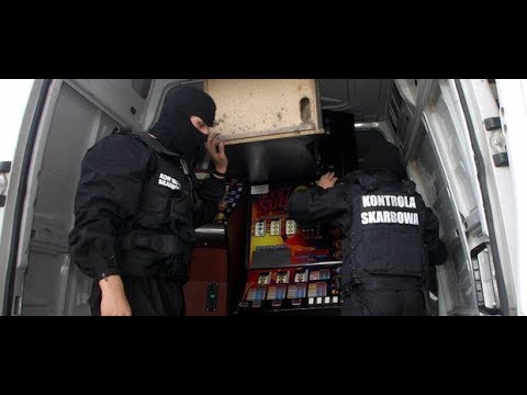 Bigg gotować porno