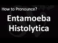 How to Pronounce Entamoeba Histolytica? (CORRECTLY)