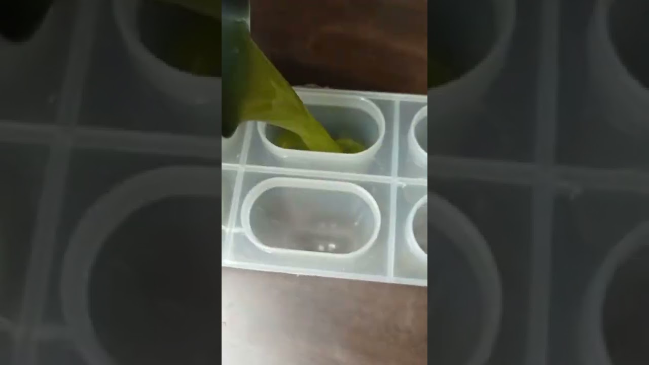 Refreshing Mint Lemon Popsicle 