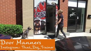 Thai Ridgeback 'Delta' l Amazing Transformation l Dog Training Hampton Roads