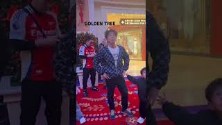 GOLDEN TREE #best #travel #holiday hotel
