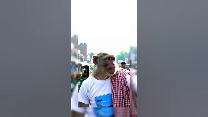 AI MONKEY 🐒 VLOGS  #shorts #instagram #treding #video #shortvideo #shortsfeed #youtubeshorts