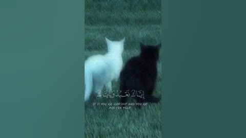 سُورةُ الفَاتِحَة للقارئ'تركي بن مساعد الرمحي'
