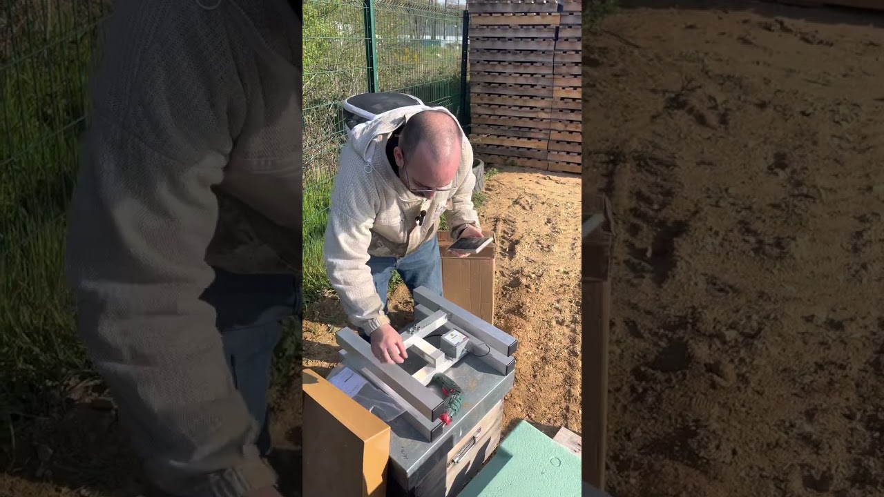Apiculture et balance connectée. Déballage, installation, gestion et code promo !