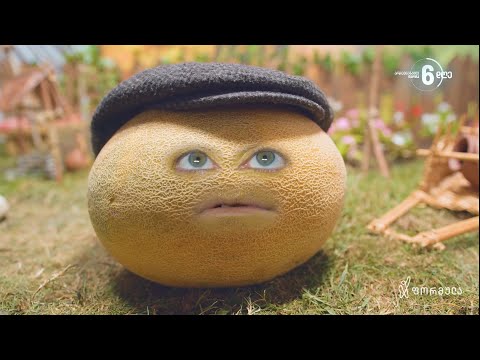 „რეალური მესამე ძალა“ - ბოსტანი - XIV ეპიზოდი