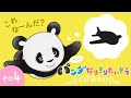 🐼ふわもち♡パンダさんの クイズ たいそう♪🐼 これな~んだ💛ぶーんぶーんとぶよ~✈     #手遊びうた #panda