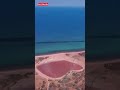 The Pink Lake That Isn’t Edited #lakehillier  #pinklake  #amazingnature