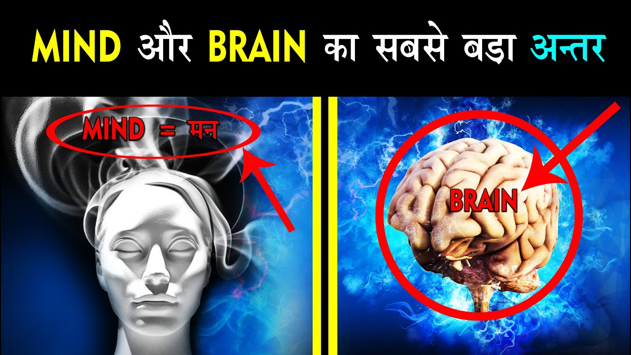 What Is The Difference Between Brain And Mind How To