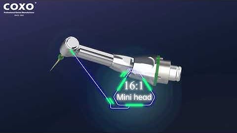 C-SMART-I PRO Endo Motors FROM COXO