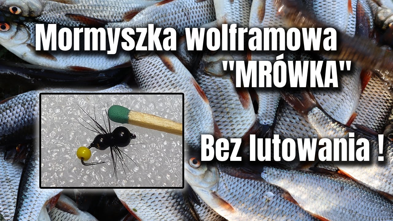 Mormyszka wolframowa na PŁOCIE 