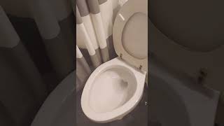 Sewer damage footage March 30, 2022 -  initial bubbling of water and backup in guest tub & toilet.
