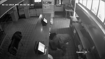 Chicken Shack Break-In
