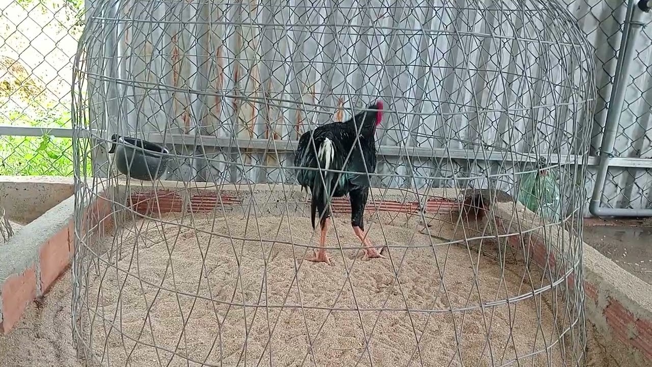 5/3 tơ ri...n, ô đại giáp, án thiên zl 0358...006...146