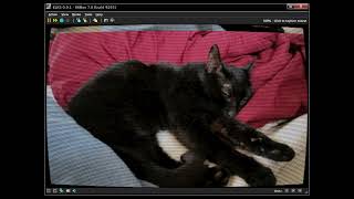 jpgview and bmpview showcase on i286