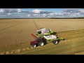 Vehnän ja Ohran puintia 2020 I  Wheat and Barley harvest 2020 I Claas lexion