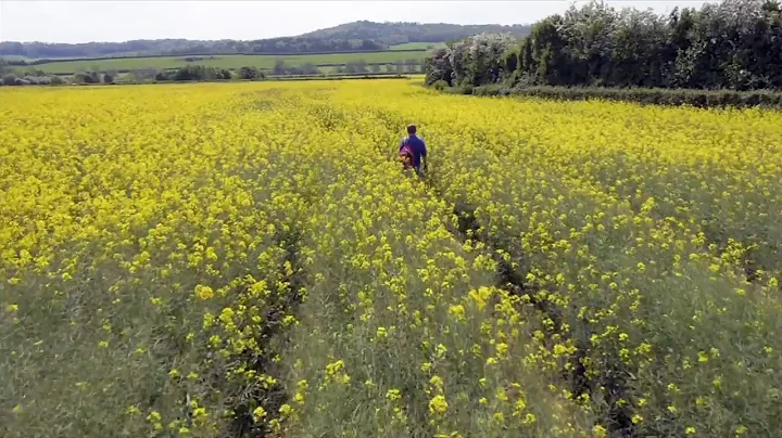 The Global Summit: Your Voice Matters - By Paella Filmes