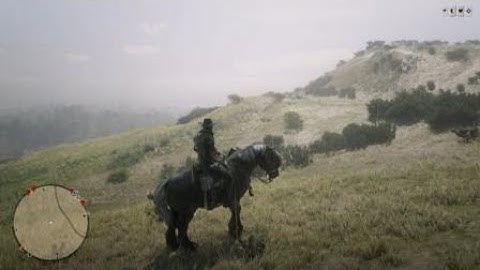 Making a griefer rage quit - RDR2 Online