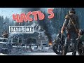 Прохождение Days Gone - Жизнь после. Часть 5