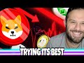 Shiba Inu Coin Is Trying Its Best To Defend These Levels