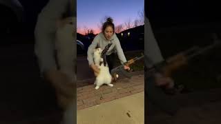 Kitten Went Berserk With Ak47 On Owner