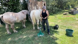 Farrier work can’t stand on legs?